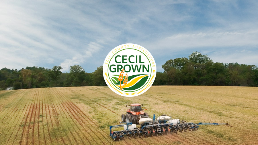 #Cecilgrown